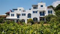 דריוס Aloe Paros Suites And Studios מראה חיצוני תמונה
