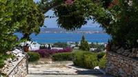 דריוס Aloe Paros Suites And Studios מראה חיצוני תמונה